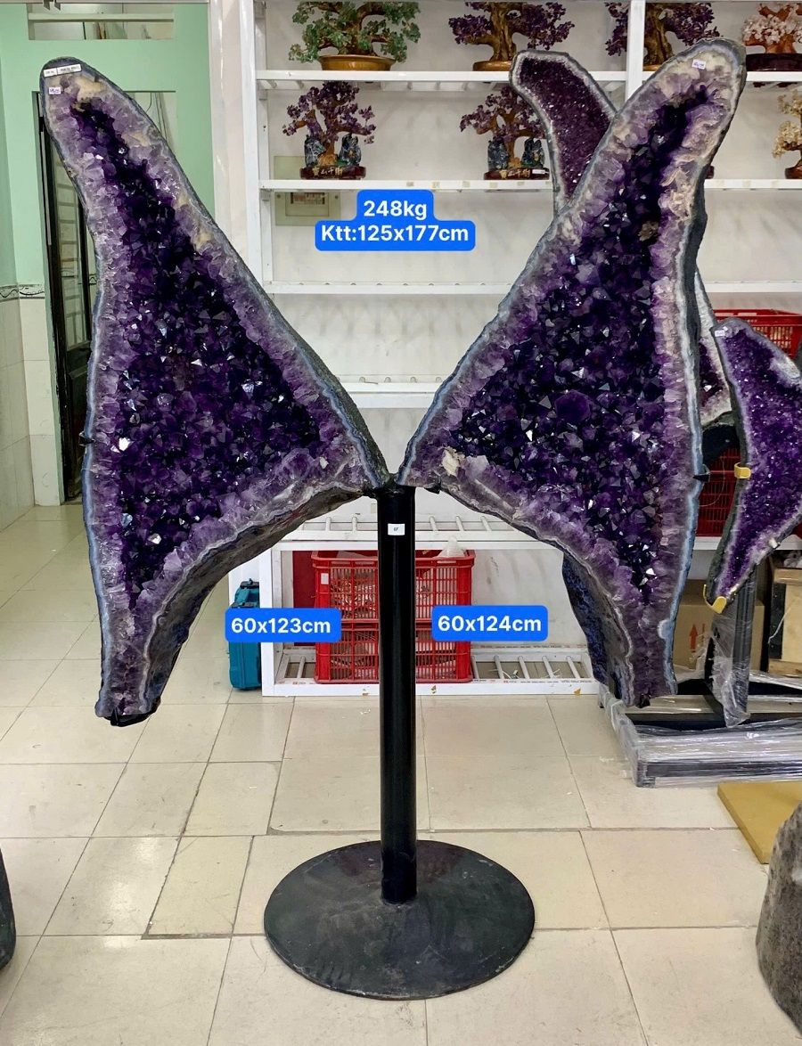 hoc_canh_buom_thach_anh_tim_1